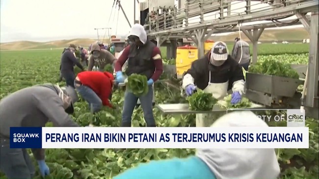 Video: Perang Iran Bikin Petani AS Terjerumus Krisis Keuangan