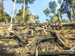 Pemerintah Janjikan Ekskavator untuk Buka Lahan, Aktivis Kaltara: Solusi Keliru