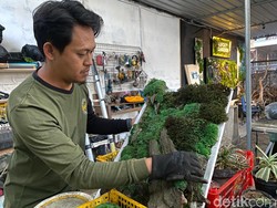 Kreativitas Warga Kota Batu Olah Lumut Jadi Karya Seni Estetik