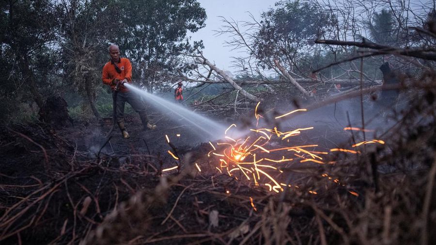 Judan, seorang petugas Badan Penanggulangan Bencana Daerah (BPBD) berumur 51 tahun, menyemprotkan air untuk memadamkan api di lahan gambut nan terbakar akibat kebakaran rimba dan lahan di Kubu Raya, Provinsi Kalimantan Barat, Indonesia, pada 27 Agustus 2026.