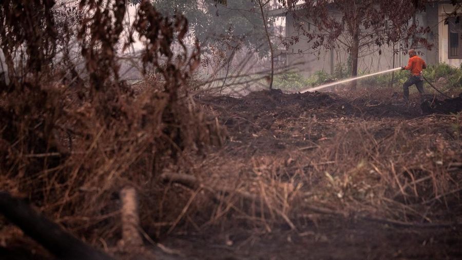 Judan, seorang petugas Badan Penanggulangan Bencana Daerah (BPBD) berumur 51 tahun, menyemprotkan air untuk memadamkan api di lahan gambut nan terbakar akibat kebakaran rimba dan lahan di Kubu Raya, Provinsi Kalimantan Barat, Indonesia, pada 27 Agustus 2026.