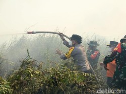 Satgas Karhutla Jambi Padamkan Kebakaran Lahan di TNBS