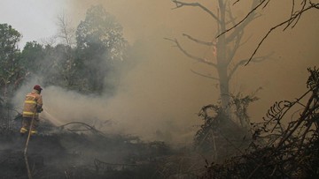 Jepang Kirim 3 Helikopter, Bantu RI Tangani Karhutla Kalimantan