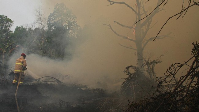 Dalam upaya Penanggulangan kebakaran hutan dan lahan (karhutla) di Kalimantan Tengah sebanyak 10.700 personel gabungan dikerahkan.