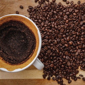 Manfaat Menggunakan Ampas Kopi untuk Rambut