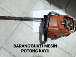 Polisi Ungkap Perambah Hutan di Kawasan HTI Bengkalis, 2 Pelaku-Chainsaw Diamankan