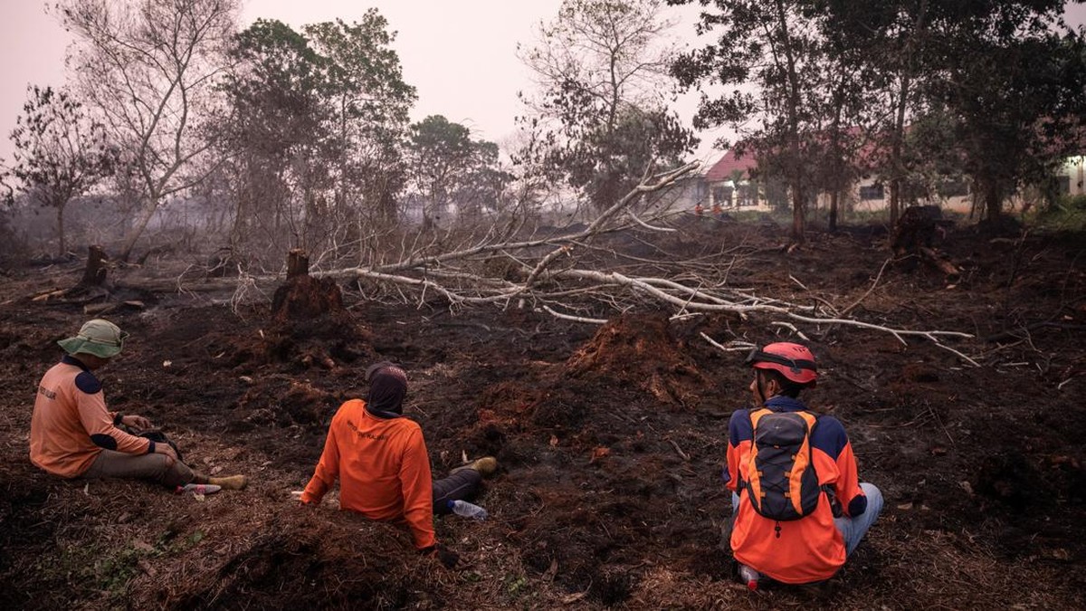 Pembakaran Hutan dalam Perspektif Pertanggungjawaban Pidana Korporasi