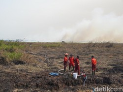 Lahan Gambut 13,2 Hektare di TNBS Kembali Terbakar, Personel Turun Padamkan