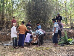 Geger Lansia Perempuan Tewas Terbakar di Sawah Sumenep