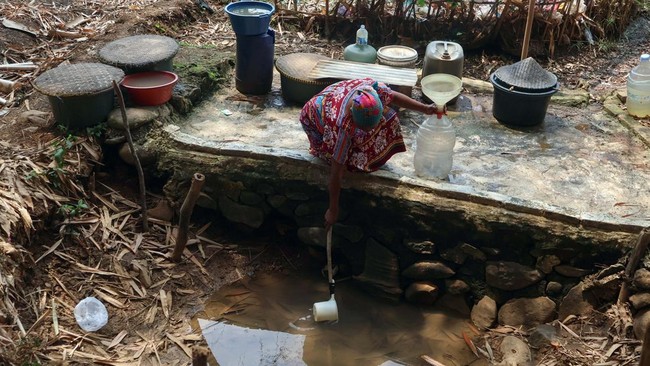 Kekeringan Parah di Jonggol, Sawah Retak dan Gagal Panen