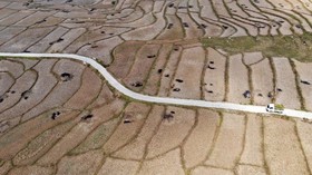 Kekeringan Parah di Jonggol, Sawah Retak dan Gagal Panen