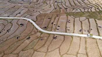 Kekeringan Parah di Jonggol, Sawah Retak dan Gagal Panen