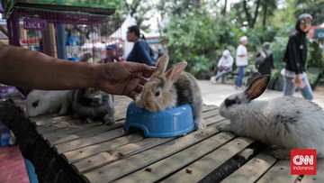 FLONA 2026 Digelar Mulai Hari Ini di Lapangan Banteng, Masuknya Gratis