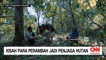 VIDEO: Dari Perambah Jadi Penjaga Hutan, Kisah Perubahan Warga Lampung