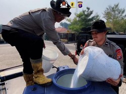Uji Powder Pemutus Api, Persempit Gerak Karhutla di Lahan Gambut