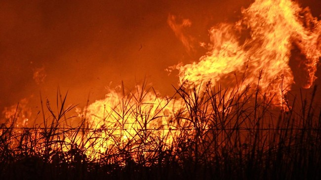 Dalam upaya Penanggulangan kebakaran hutan dan lahan (karhutla) di Kalimantan Tengah sebanyak 10.700 personel gabungan dikerahkan.
