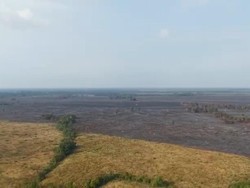 3 Titik Baru Kebakaran Way Kambas Padam, Lahan Terbakar 912,49 Hektare