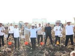 Bupati Andi Asman Siapkan 510 Hektare Lahan Jadikan Bone Lumbung Tebu