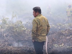 Temukan Lokasi Karhutla Saat Tinjau Tol Palindra, Herman Deru Ngaku Kesal
