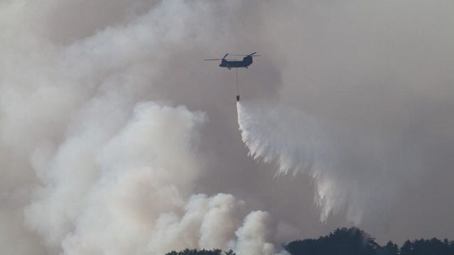Deretan Negara yang Membantu Padamkan Karhutla di Indonesia