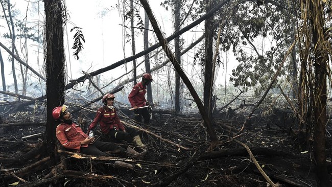 Karhutla di Hutan Lindung Londerang