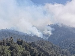 Kebakaran Hutan TNBTS Meluas, 160 Hektare Ludes Terbakar