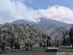 Karhutla Gunung Semeru Terus Merembet Dekati Ranu Kumbolo