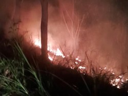 Bukit Senggigi Lombok Barat Terbakar, 1 Hektare Lahan Dilalap Api