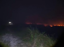 Karhutla Terjadi di Desa Pulau Mentaro Muaro Jambi, Petugas Masih Padamkan Api