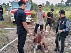 Warga Lamandau Diduga Bakar Lahan Diamankan Brimob Polda Kalteng
