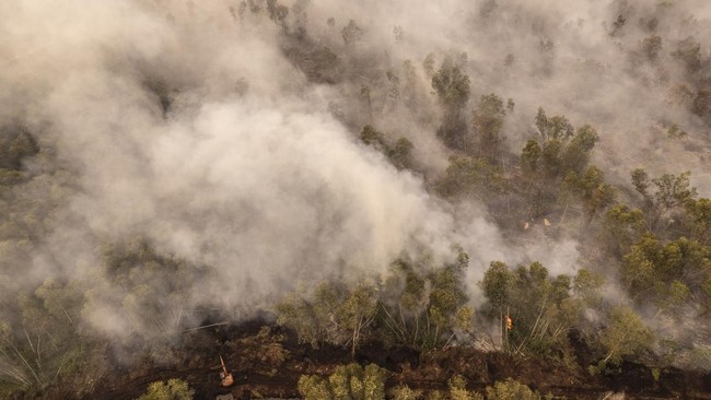 Karhutla di Hutan Lindung Londerang