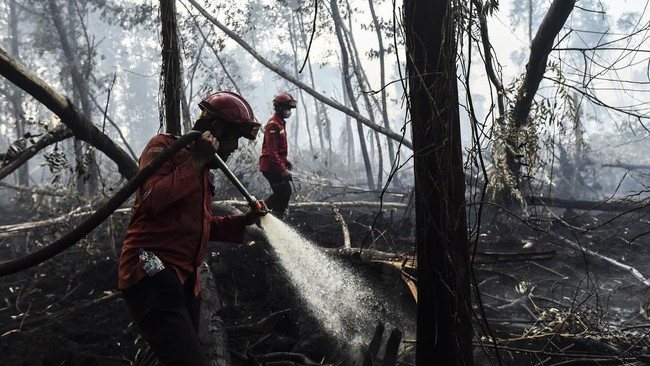 Karhutla di Hutan Lindung Londerang