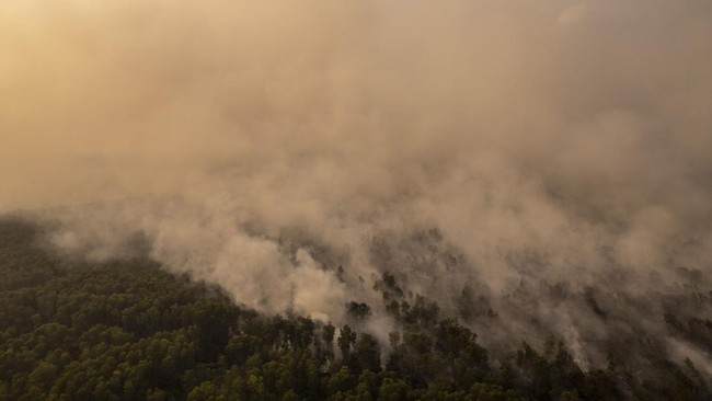 Karhutla di Hutan Lindung Londerang