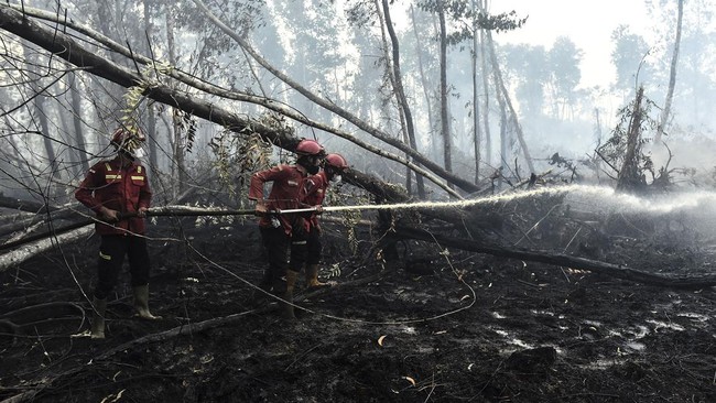 Karhutla di Hutan Lindung Londerang