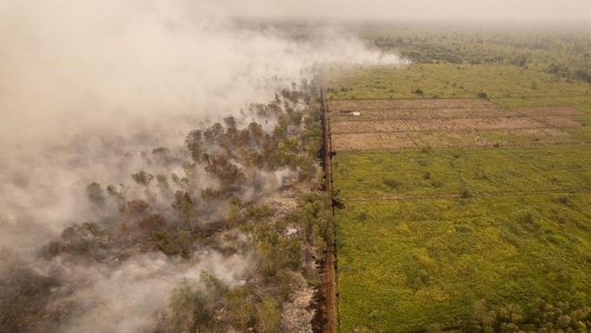 Foto udara asap membubung ke langit saat terjadi kebakaran hutan dan lahan (karhutla) di Hutan Lindung Gambut (HLG) Londerang, Tanjung Jabung Timur, Jambi, Jumat (28/8/2026). Upaya pemadaman kebakaran yang terjadi sejak Kamis (27/8) dan telah menghan