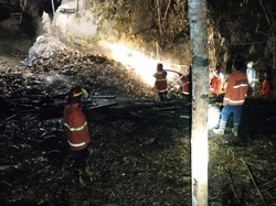 Belasan Hektare Lahan di Karangasem Hangus Terbakar dalam Dua Hari