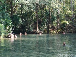 Unik! Sungai di Semarang Ini Air Hanya Mengalir Saat Kemarau