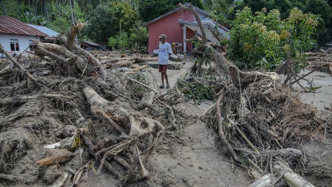 Warga berada di dekat tumpukan kayu dan pohon yang terbawa banjir bandang di Desa Avolua, Kabupaten Parigi Moutong, Sulawesi Tengah, Rabu (26/8/2026). Badan Penanggulangan Bencana Daerah (BPBD) Parigi Moutong mendata 12 rumah rusak, 50 rumah terendam