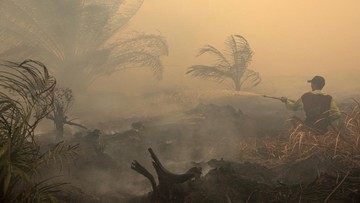 Hotspot di Kalbar dan Kalteng Bertambah Lagi, Jarak Pandang 1-1,5 Km