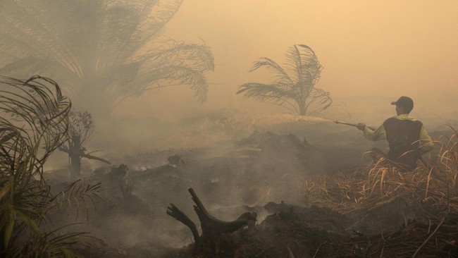 A local farmer sprays water in an attempt to extinguish wildfires that are burning his palm oil plantation in Sungai Putri, Ketapang regency, West Kalimantan province, Indonesia, August 29, 2026. REUTERS/Willy Kurniawan