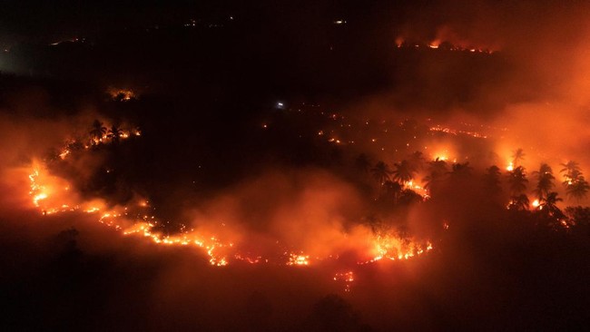 A drone view shows wildfires burning an area in Sungai Putri, Ketapang regency, West Kalimantan province, Indonesia, August 29, 2026. REUTERS/Willy Kurniawan