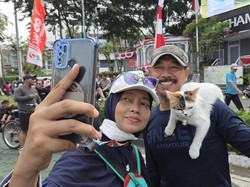 Gemas! Kucing Telon Bak Seleb di CFD Bundaran HI, Sibuk Layani Meet and Greet