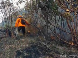 Kebakaran TNBTS Lumajang Belum Padam, Sumber Air Berjarak 3 Km