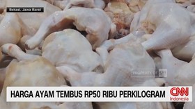 harga ayam hari ini, harga daging ayam, ayam potong mahal, harga ayam 50 ribu, harga pangan, harga ayam 2026, pemerintah, peternak ayam