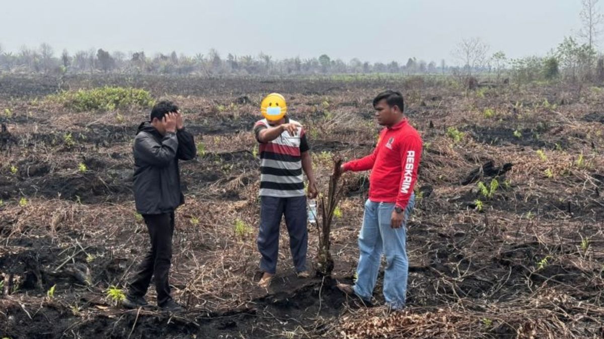 Terungkap, Lahan Hutan Terbakar di Riau Mau Disulap Jadi Kebun Sawit