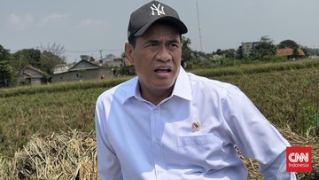 Amran Sebut Buruh Tani Tanpa Sawah Bisa Raup Rp5 Juta Sebulan, Gimana?
