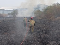 Duh! ODGJ Bakar Sampah Picu Kebakaran Lahan Dekat Rel KA di Ceper Klaten