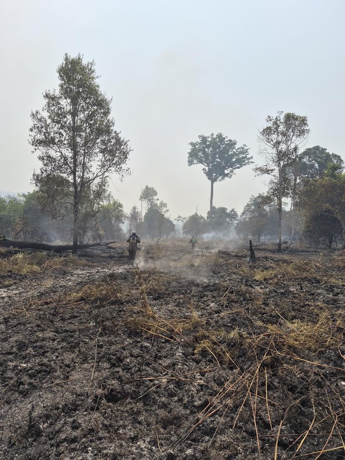 Kebakaran hutan di Kalimantan