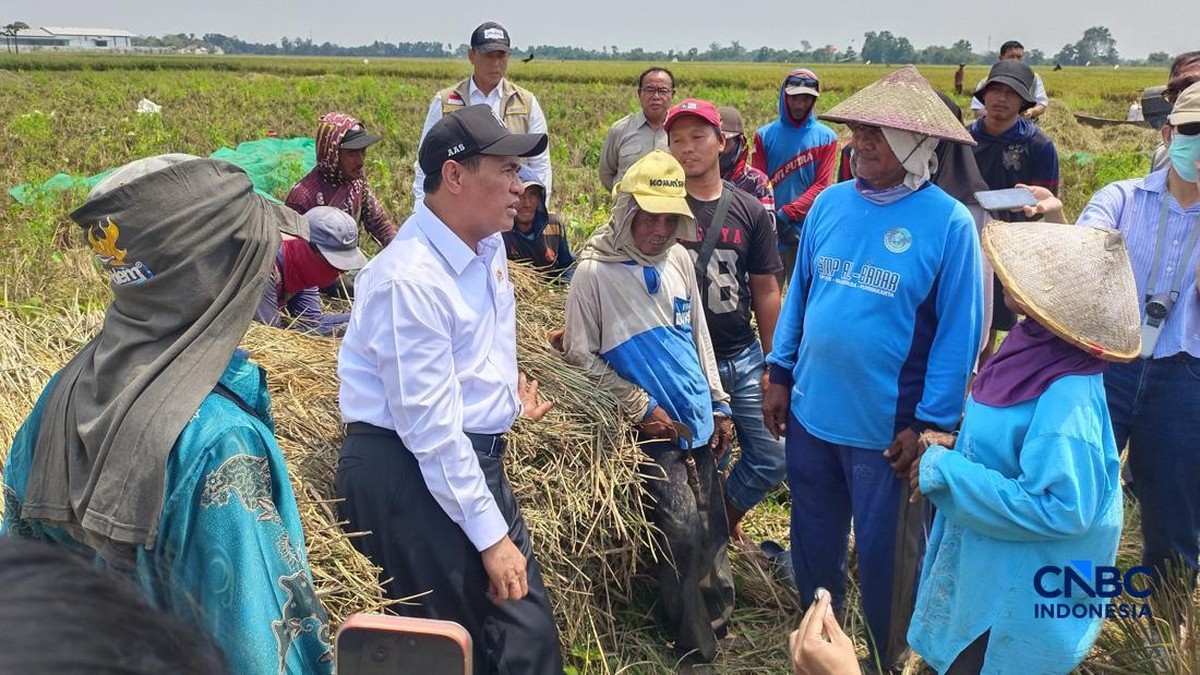 Amran Blusukan ke Karawang, Nyemplung Sawah Pelototi Ini