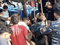 Diduga Keracunan Gas, 3 Nelayan di Belawan Tewas dalam Palka Kapal